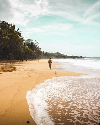 La elegida por los surfistas