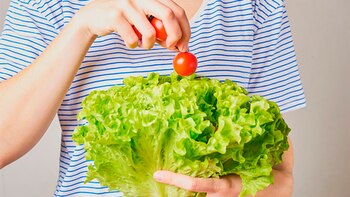 Cómo retomar la dieta los