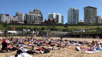 Imagen ZTV42TI5VVHVTN43RK324BFZZU