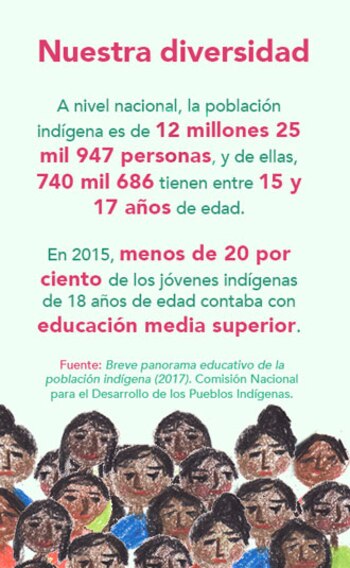 Actualmente hay más de 12