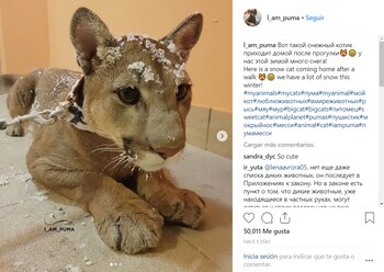 (Foto: Instagram I_am_puma)