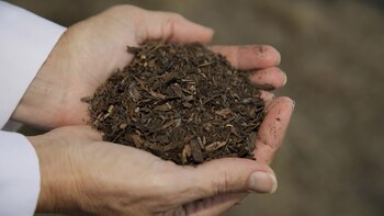 Un proceso conocido como “recomposición”