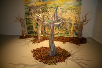 Por primera vez Nicola Constantino