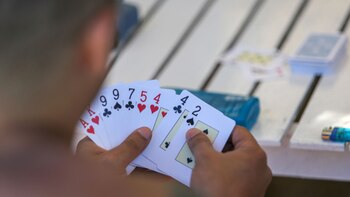 En Mar del Plata, una