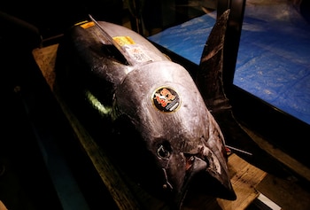 (REUTERS/Kim Kyung-Hoon)