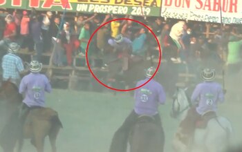 El jinete trató de sujetarse