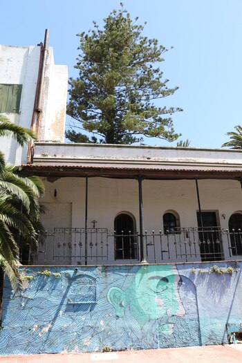 Una gran palmera del corazón del