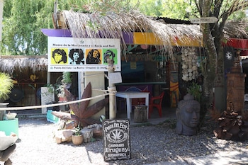 El Museo de la Marihuana es un tour cannábico sin costo y sin obras de arte. Su dueño se dedica a vender preferentemente souvenirs con leyendas de Punta del Este y de la marihuana