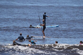 Una disciplina para todas las