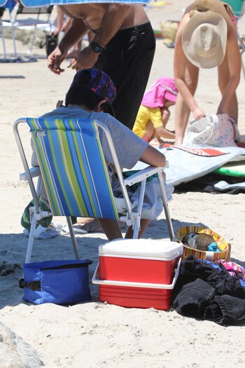 Heladeras portátiles, conservadoras y bolsos térmicos
