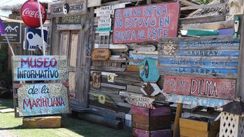 “El Museo informativo de la Marihuana” es uno de los espacios de Punta del Este donde el cannabis es protagonista