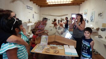 Eco museo situado en el