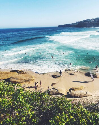 (Foto: Instagram / sandrawexen)