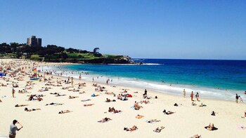 (Foto: Instagram / constancegef)