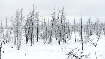 Paisajes naturales en la península