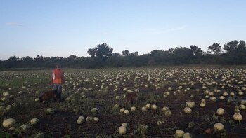 Los empresarios de Santa Fe