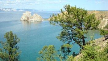 La vida silvestre en la