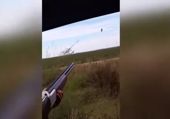 Imagen CUTYWPDHONB2VMKPP257N4JMEI