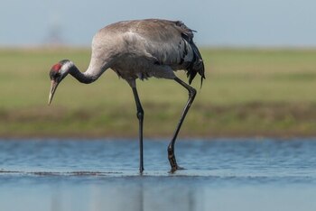 Imagen K6KQ2EUPFZEULH34VOQV2B6Y2E