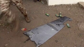 Un pedazo de ala del