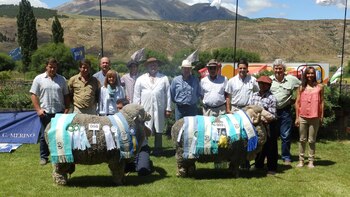 Por los casos de hantavirus