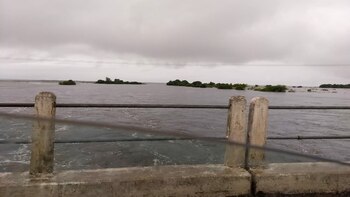 Según un informe de la