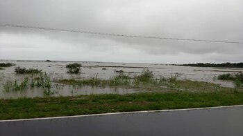 (Crédito: Sociedad Rural Argentina)