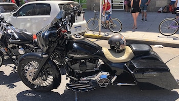 Javier: “Son todas distintas, son