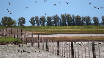Para el especialista en clima