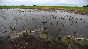 La pérdida para el sector
