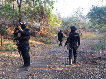 Los elementos de seguridad se