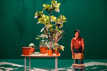 “Estado Vegetal” (Fundación teatro a