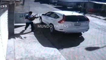 Las cámaras captaron al dueño