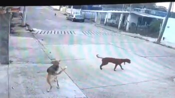 Si la familia no presentara