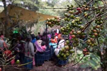 La situación que viven se
