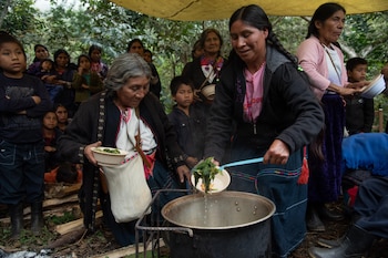 “No es necesario que venga