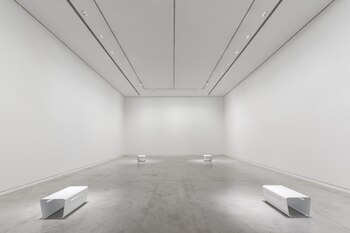 “Sin límite 567” Museo Provincial