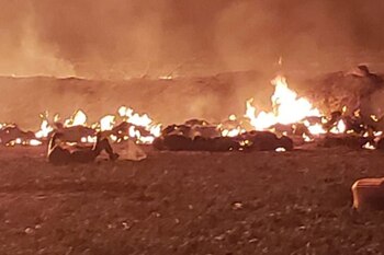 (Foto: Twitter/EDUX77)