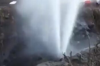 (Foto: Twitter/ warkentin)