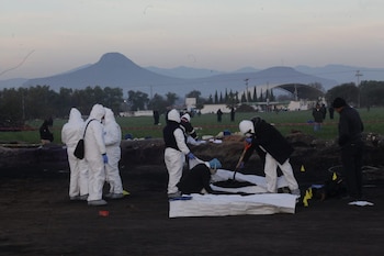 Hasta el momento se reportan