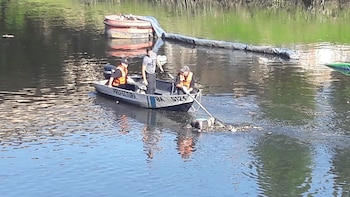 Carla vivía a 5 cuadras