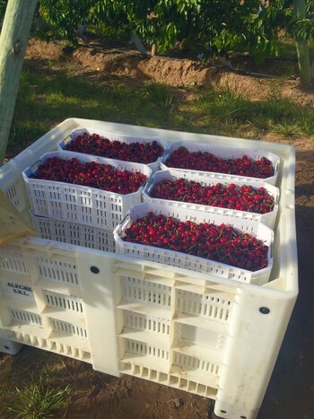 El candidato a gobernador de