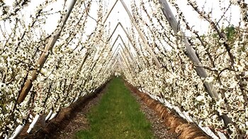 Quiroga pretende diversificar la matriz