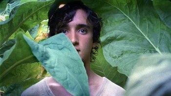 “Lazzaro felice”