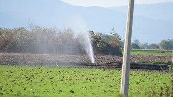 La altura de la fuga