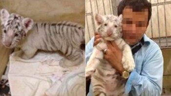 La persona que ofrece el