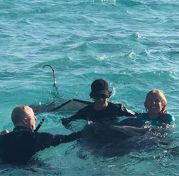 Nadó con mantarrayas