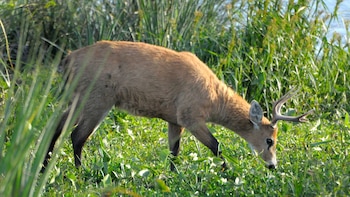 Foto: Fernando Calzada/DEF.