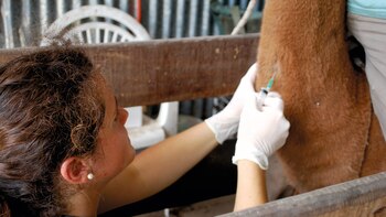 El INTA fue premiado en