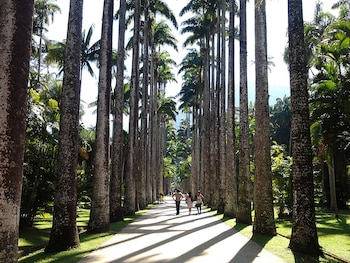 El jardín muestra más de 40 mil plantas, y unas 6725 especies diferentes. Es una de las mayores colecciones de plantas del mundo